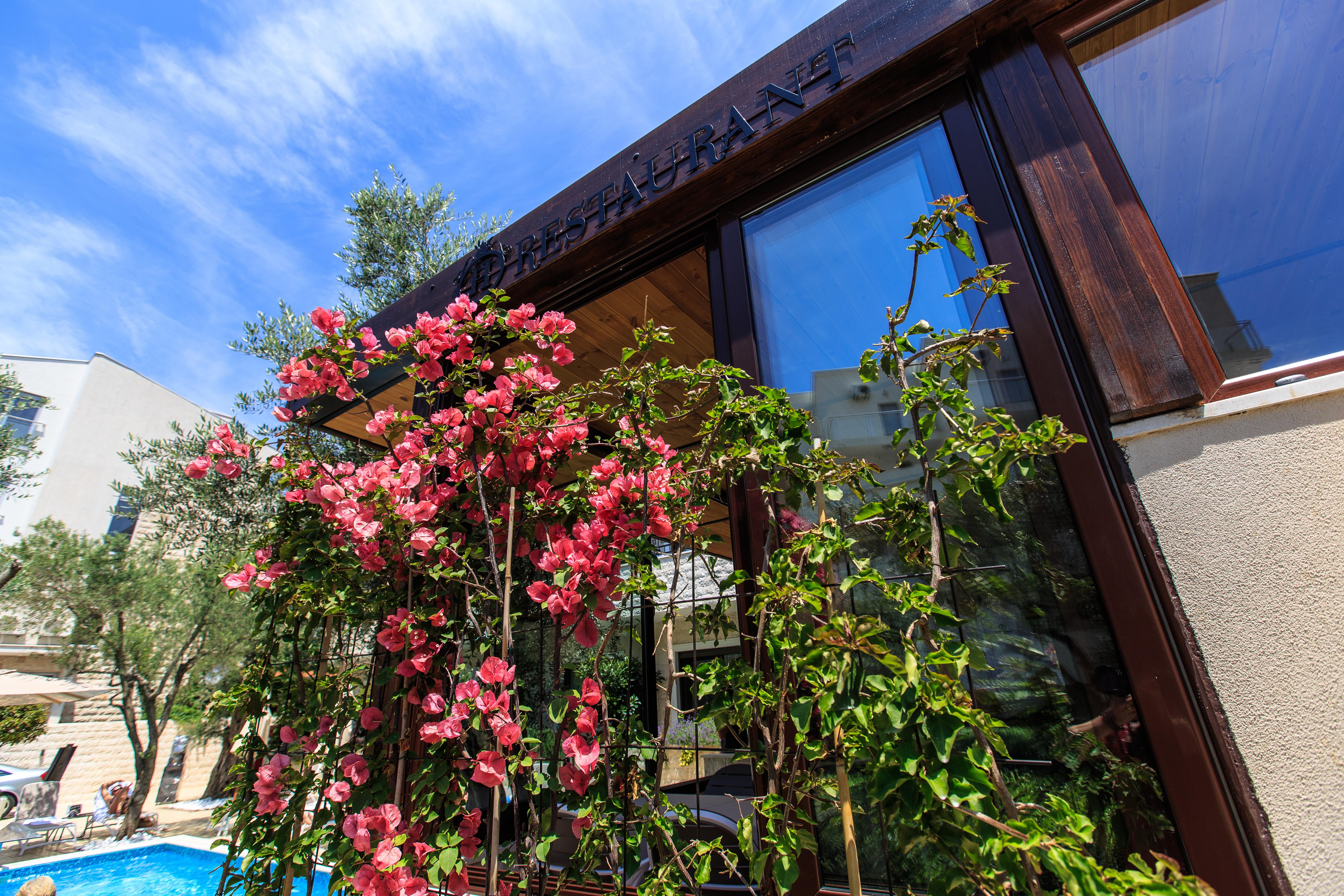 Hotel Harmony By Aycon Petrovac Exteriér fotografie